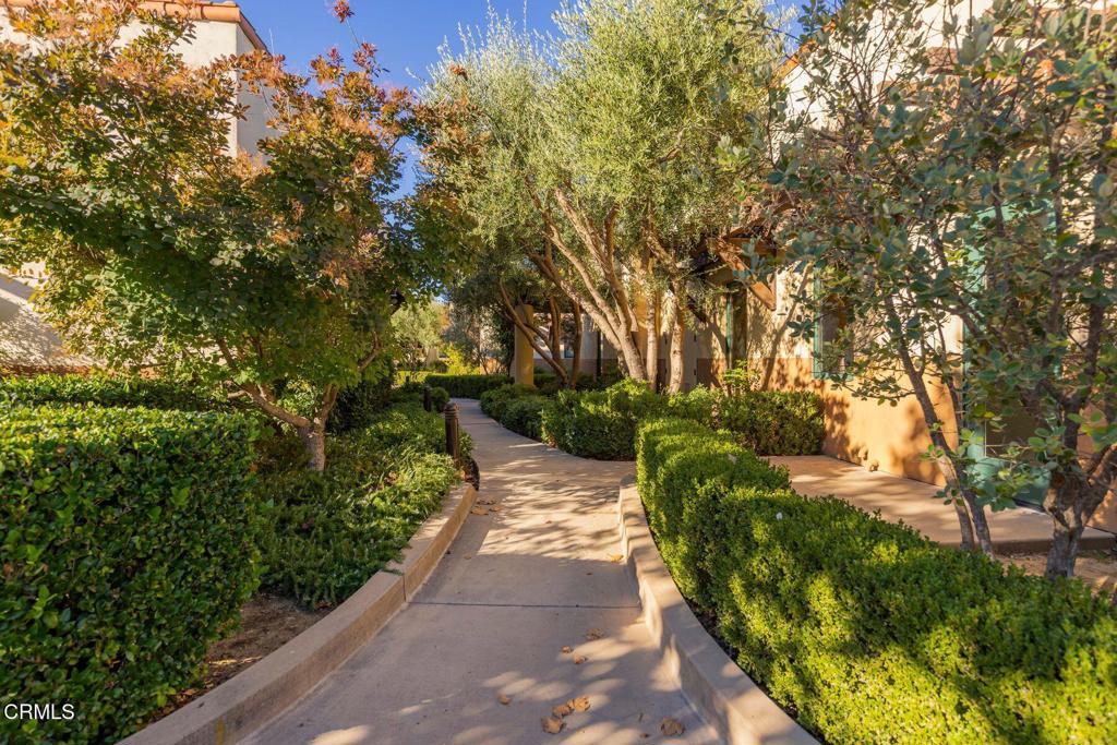 MLS #V1-33245 image #15