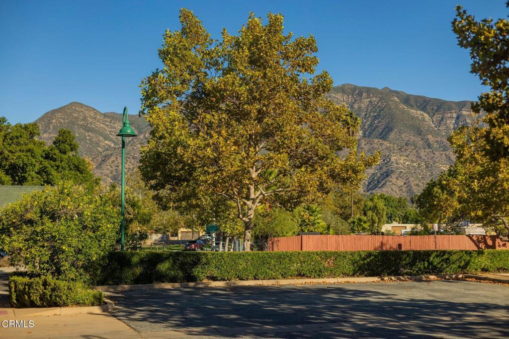 MLS #V1-33245 image #18