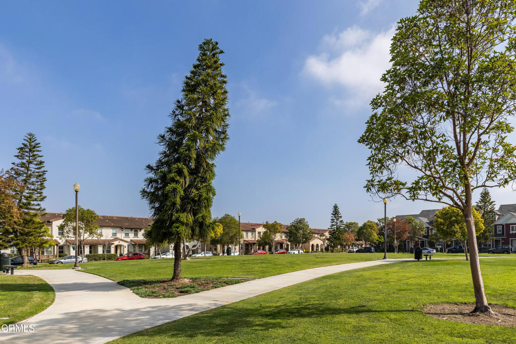 MLS #V1-33249 image #18