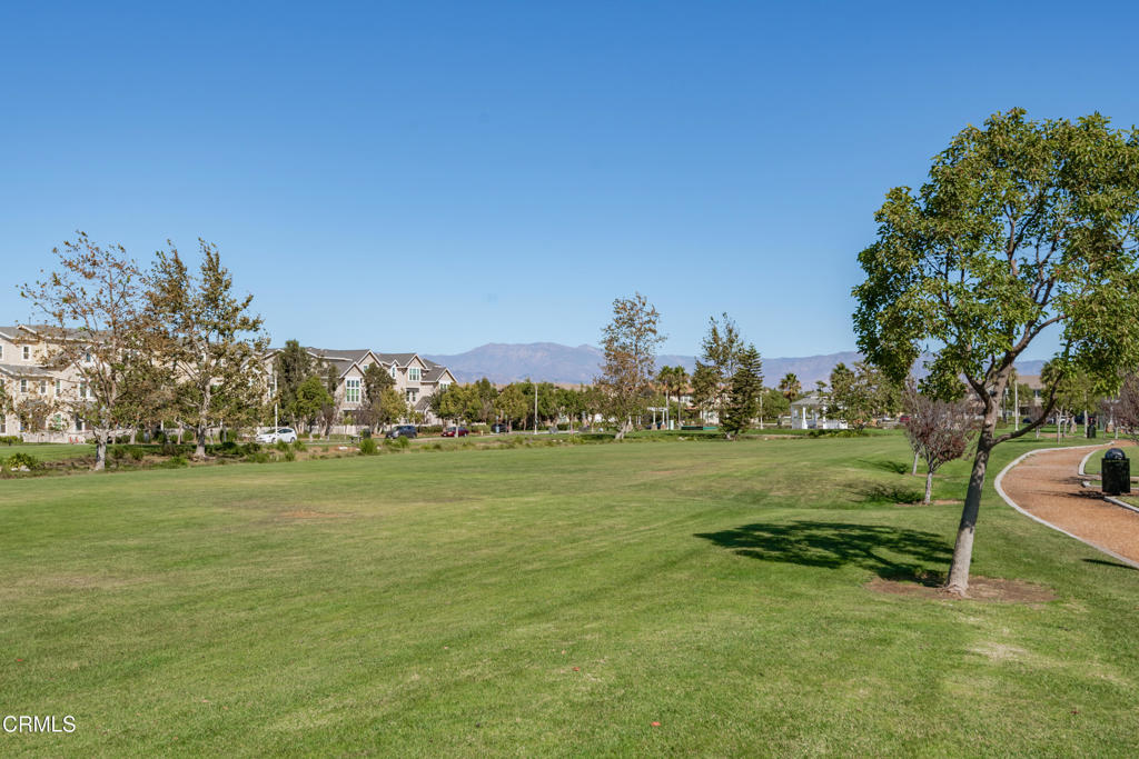 MLS #V1-33296 image #21