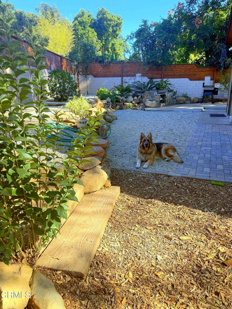 MLS #V1-33304 image #43