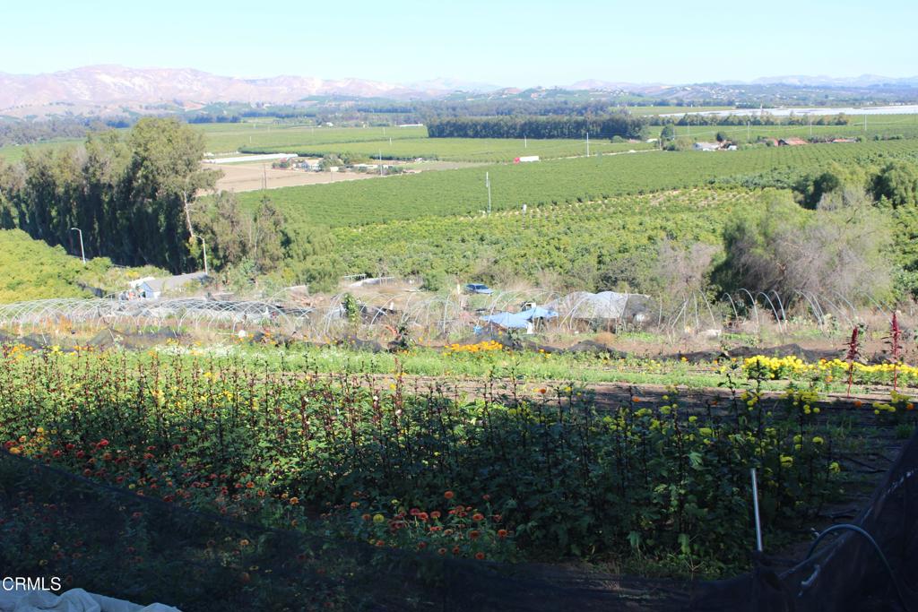 MLS #V1-33321 image #13