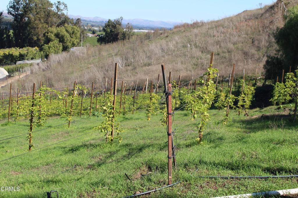 MLS #V1-33321 image #15