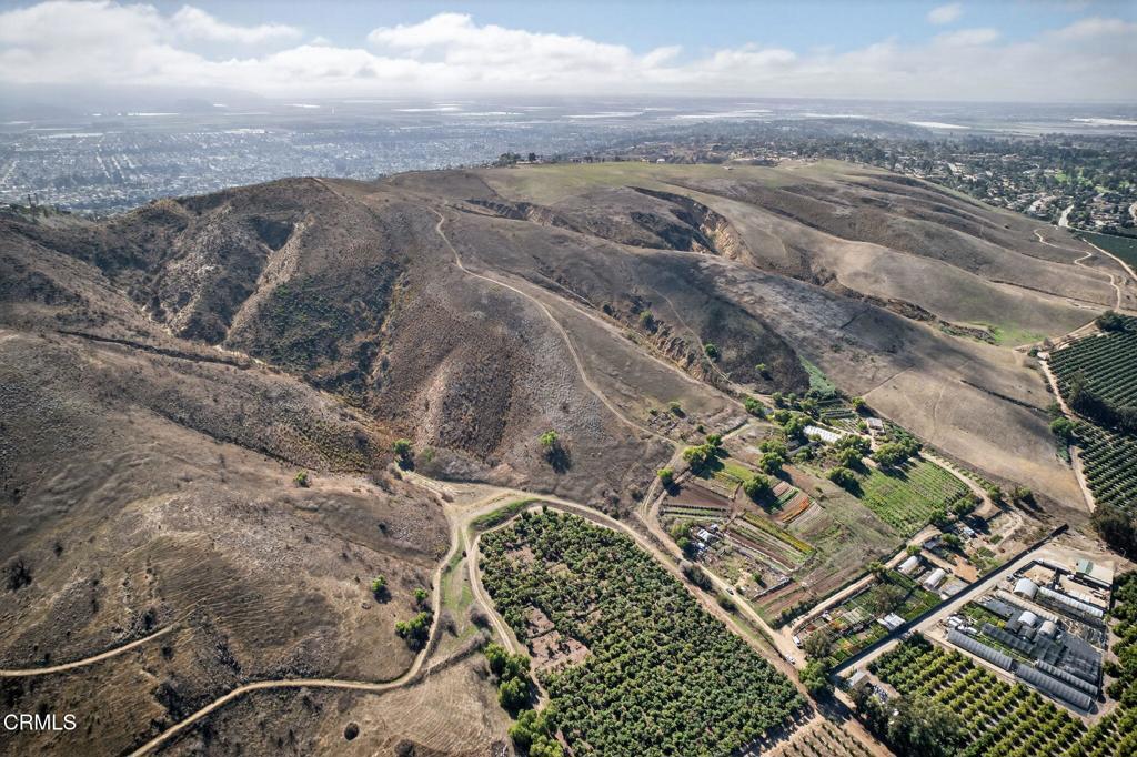 MLS #V1-33321 image #16