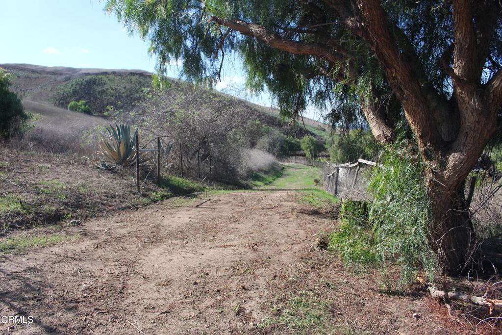 MLS #V1-33321 image #17