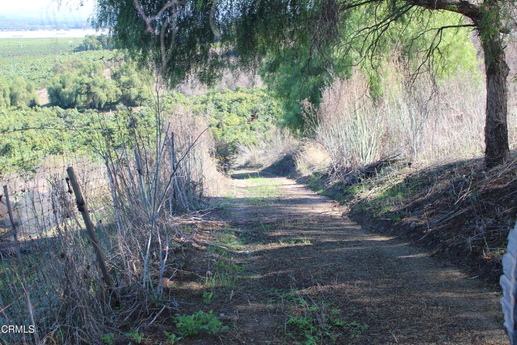 MLS #V1-33321 image #18