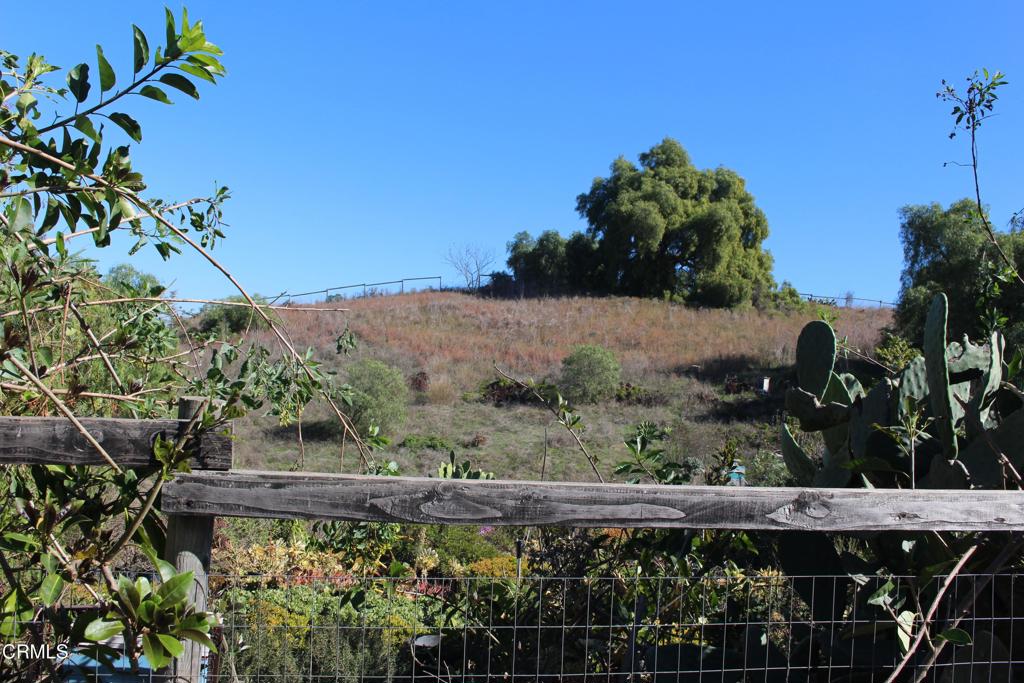 MLS #V1-33321 image #19