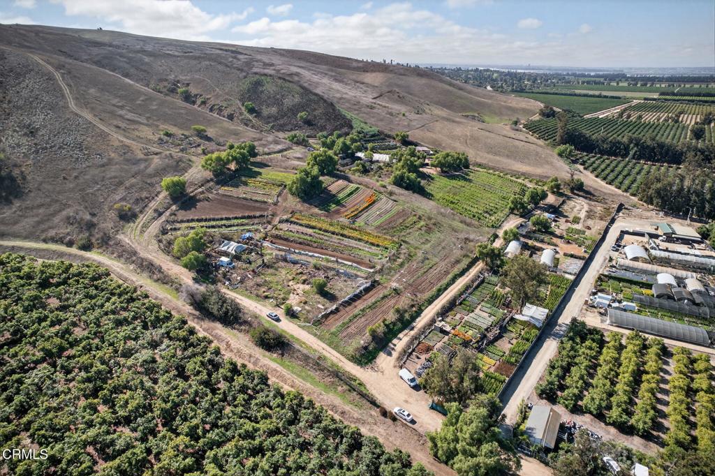 MLS #V1-33321 image #21