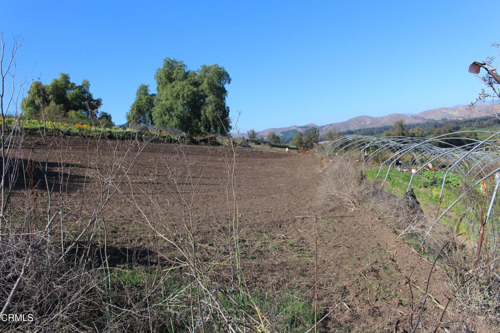 MLS #V1-33321 image #24