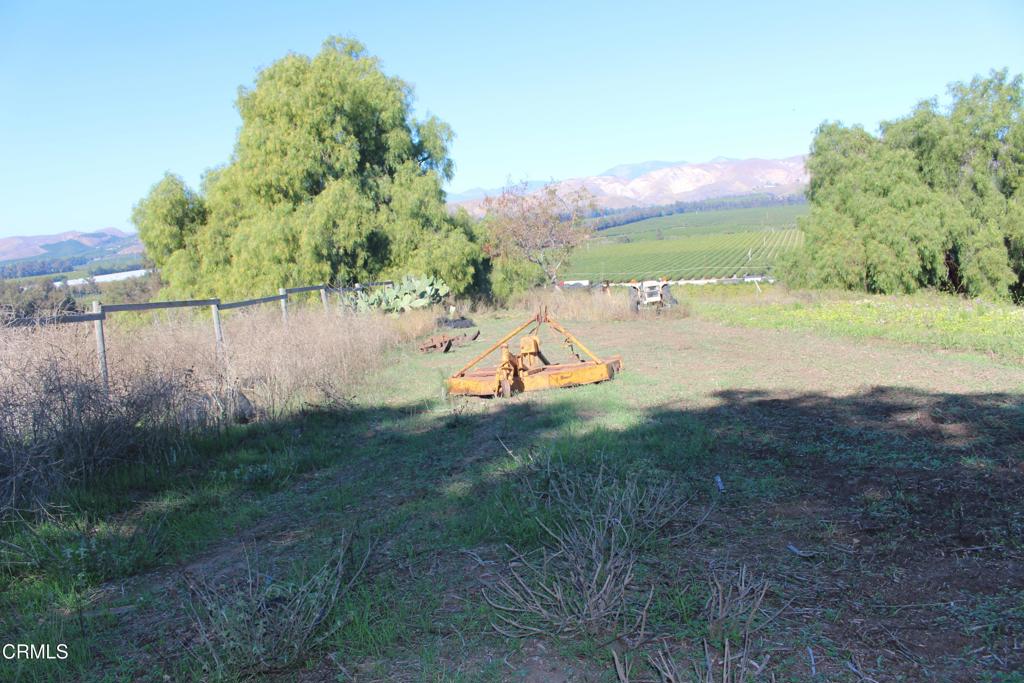 MLS #V1-33321 image #25