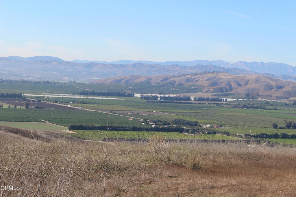 MLS #V1-33321 image #26