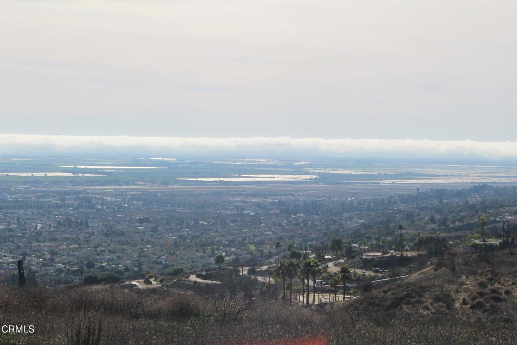 MLS #V1-33321 image #28