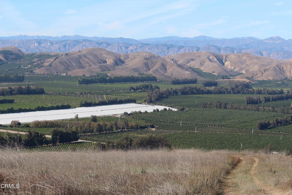 MLS #V1-33321 image #29