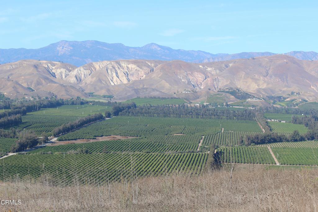 MLS #V1-33321 image #3