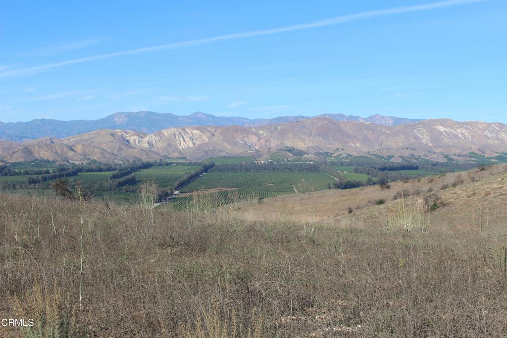 MLS #V1-33321 image #30