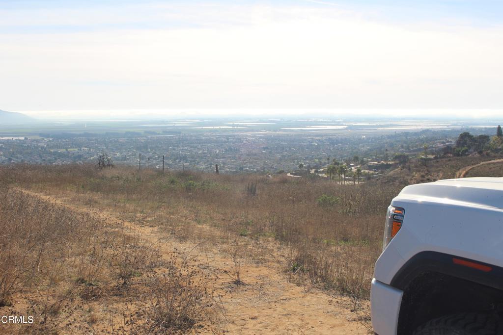 MLS #V1-33321 image #31