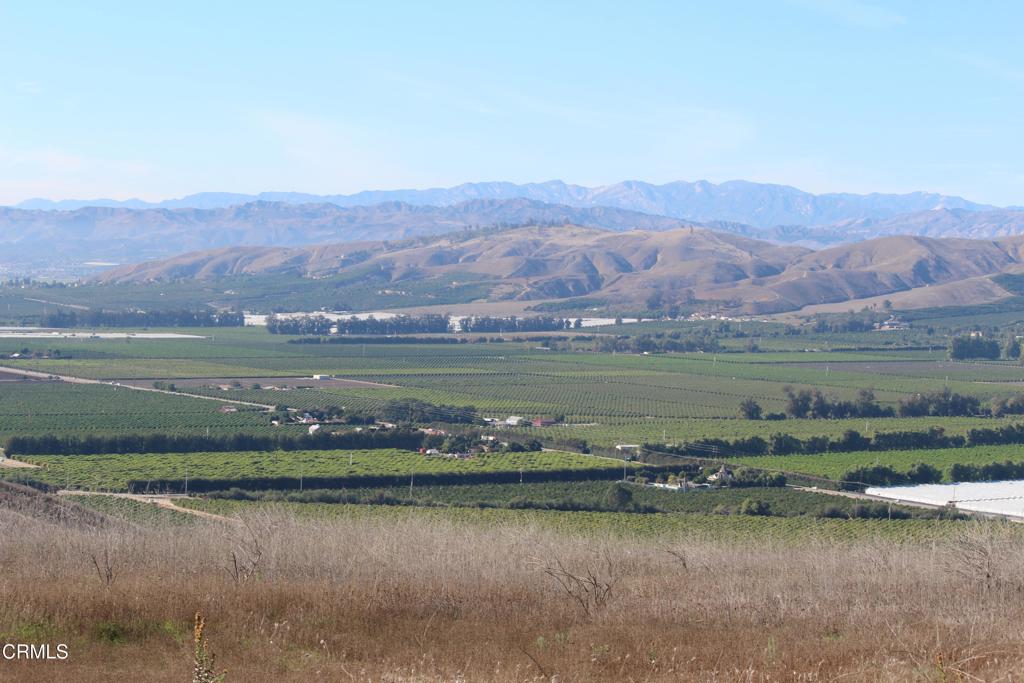 MLS #V1-33321 image #4