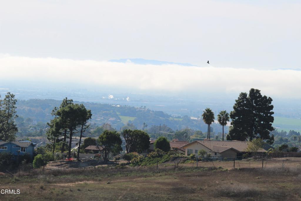 MLS #V1-33321 image #5