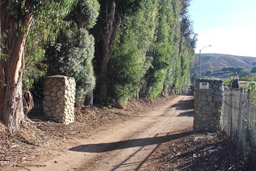 MLS #V1-33321 image #6