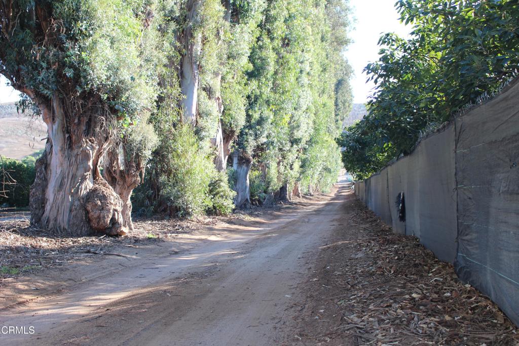 MLS #V1-33321 image #7