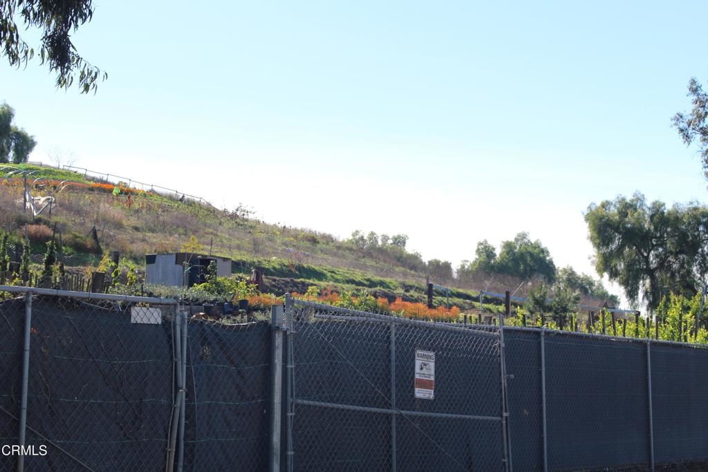 MLS #V1-33321 image #8