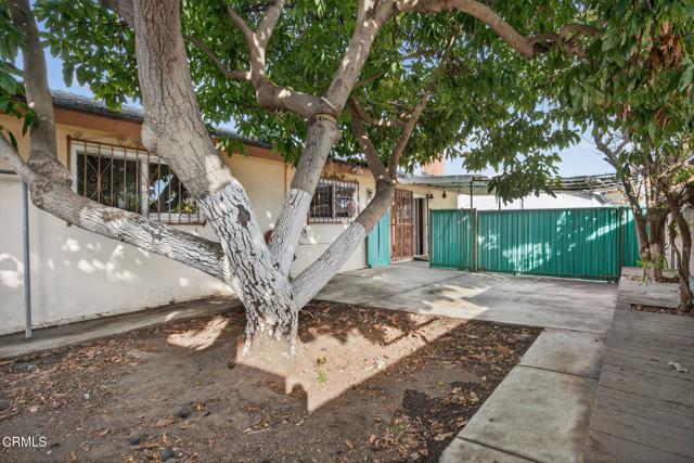 MLS #V1-33356 image #10