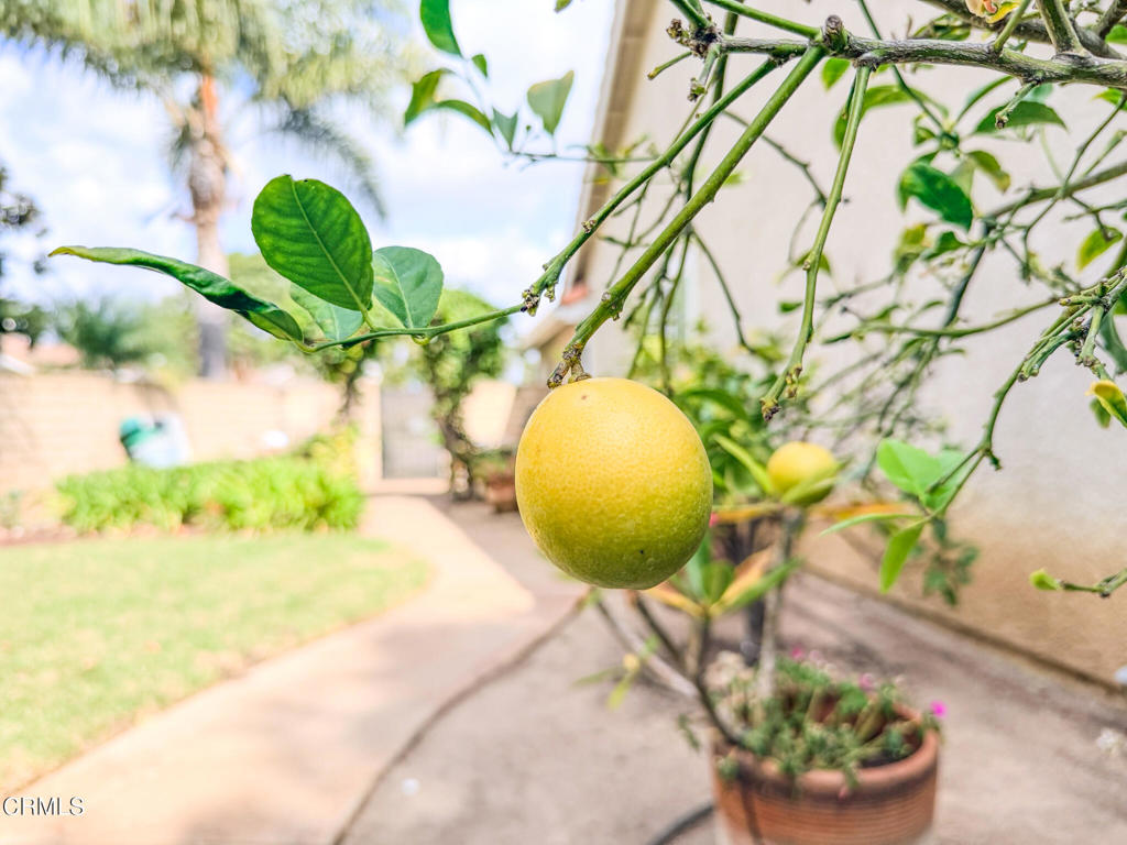 MLS #V1-33367 image #25