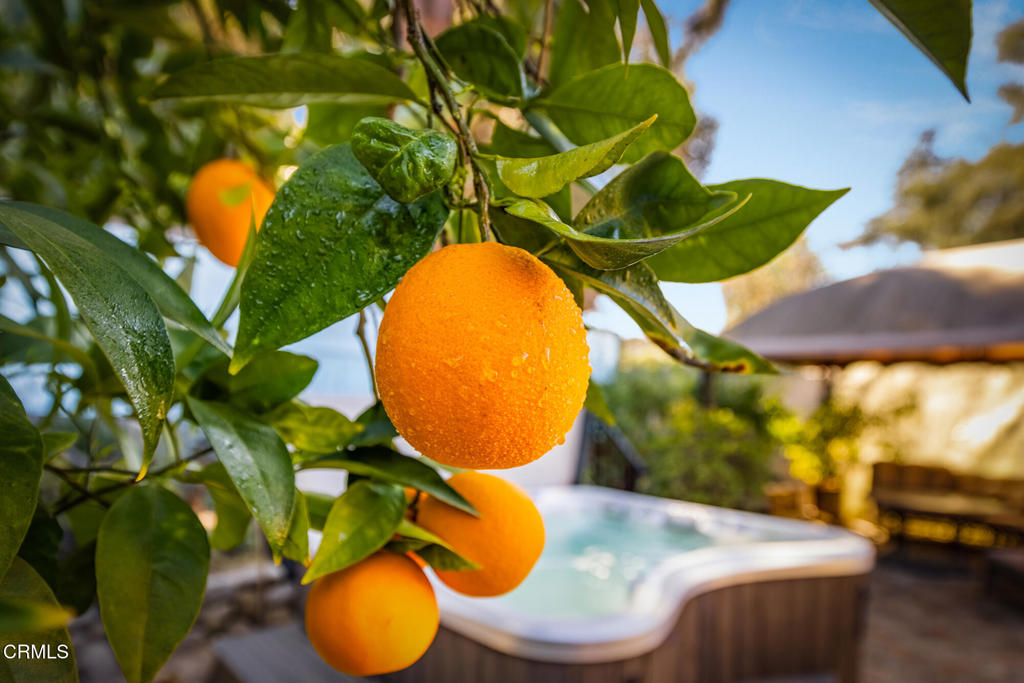 MLS #V1-33377 image #11