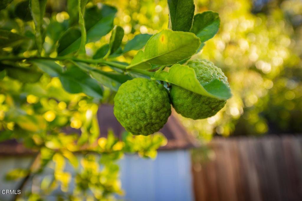 MLS #V1-33377 image #21