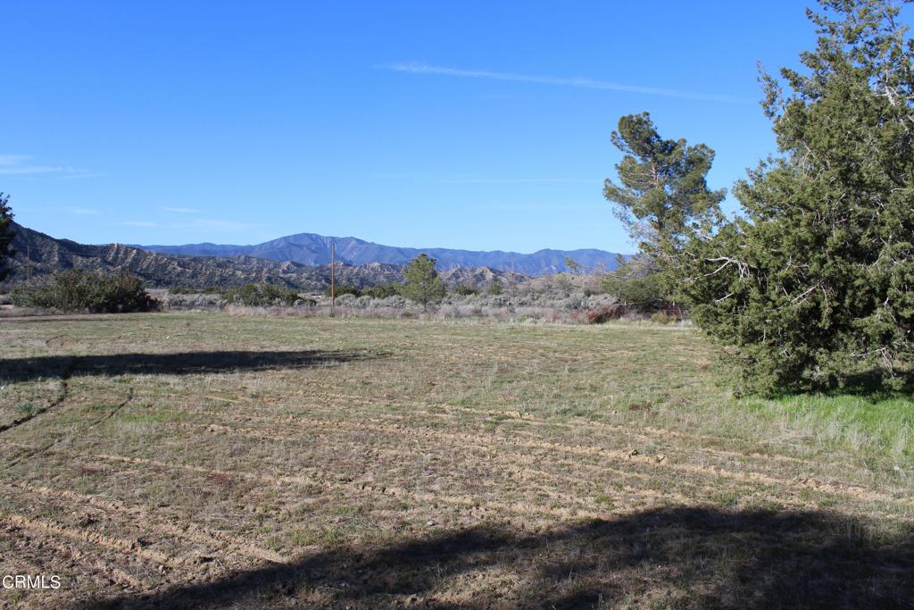 MLS #V1-33379 image #1