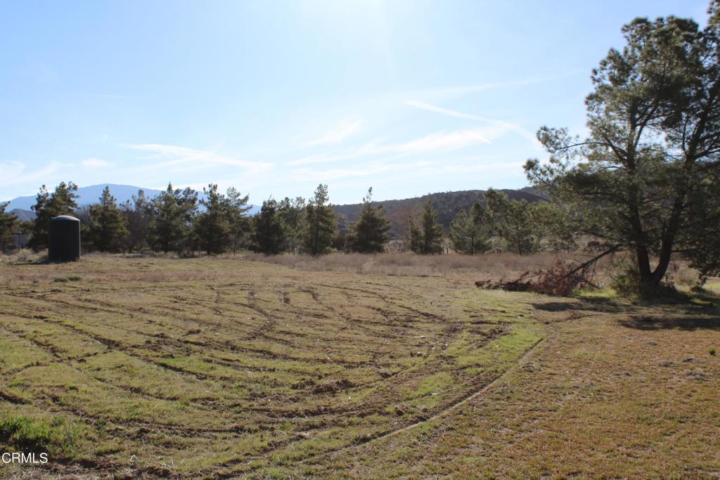 MLS #V1-33379 image #10