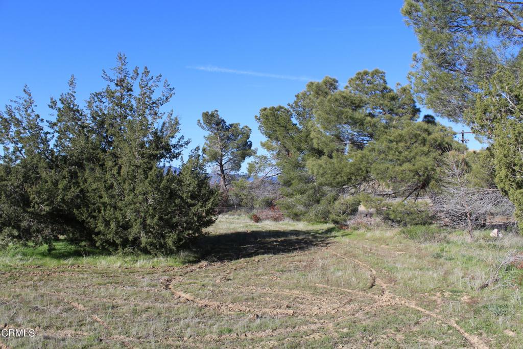 MLS #V1-33379 image #11