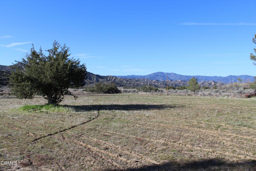 MLS #V1-33379 image #12