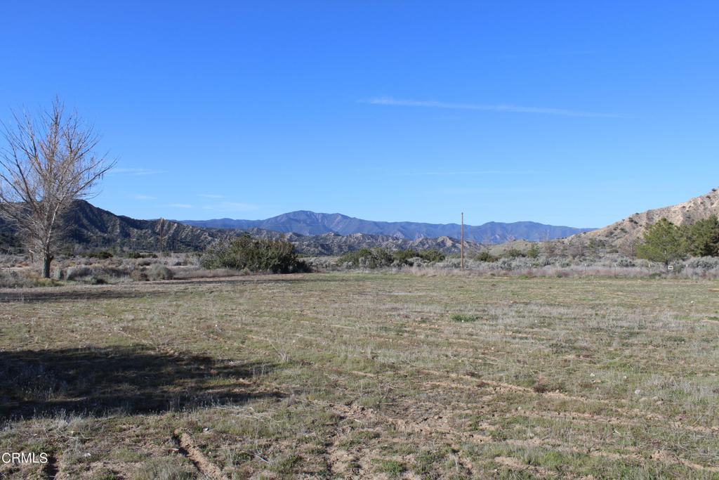 MLS #V1-33379 image #17