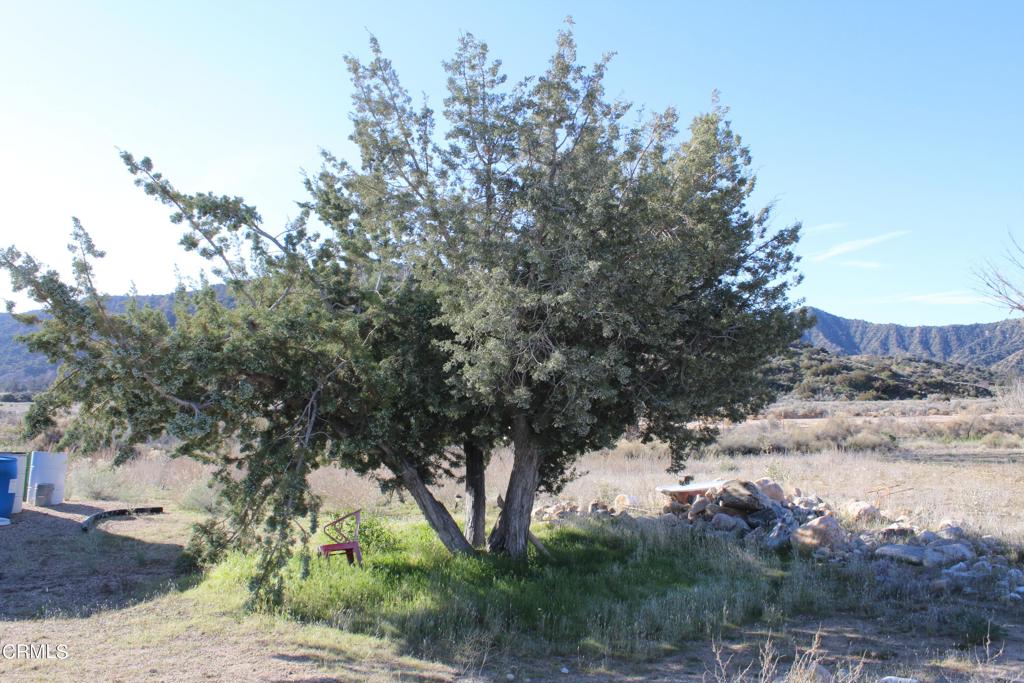 MLS #V1-33379 image #18