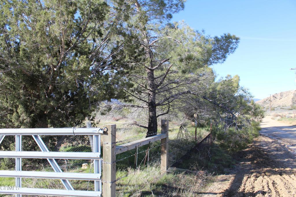 MLS #V1-33379 image #2