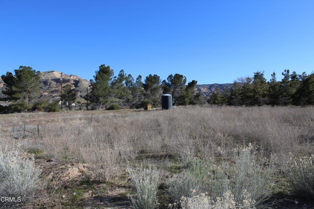 MLS #V1-33379 image #22