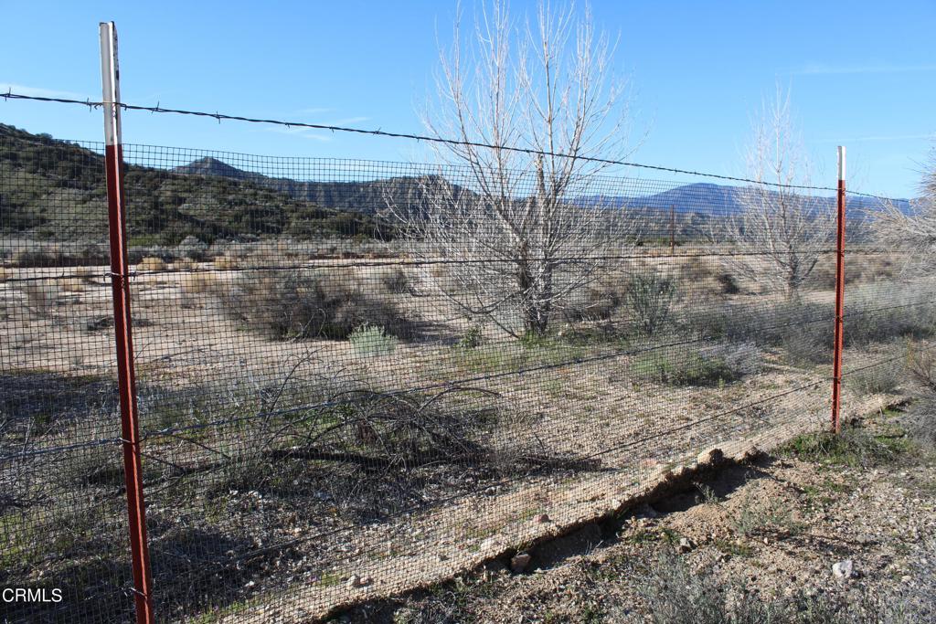 MLS #V1-33379 image #23