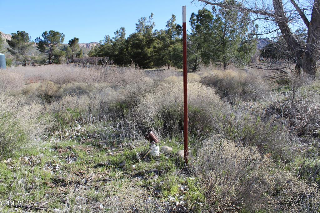 MLS #V1-33379 image #25