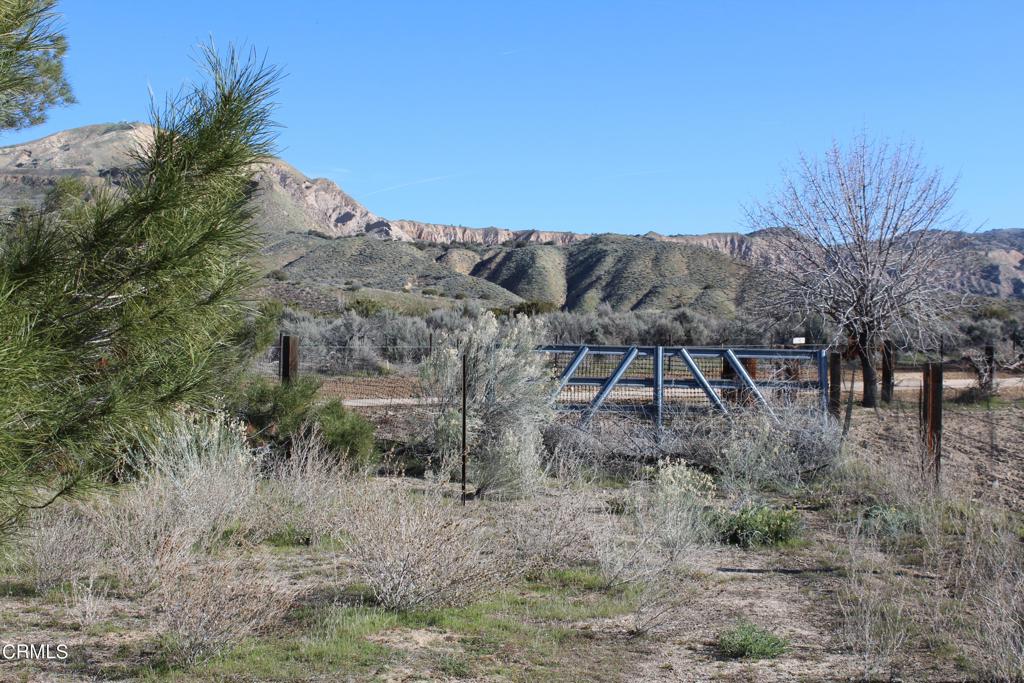 MLS #V1-33379 image #28