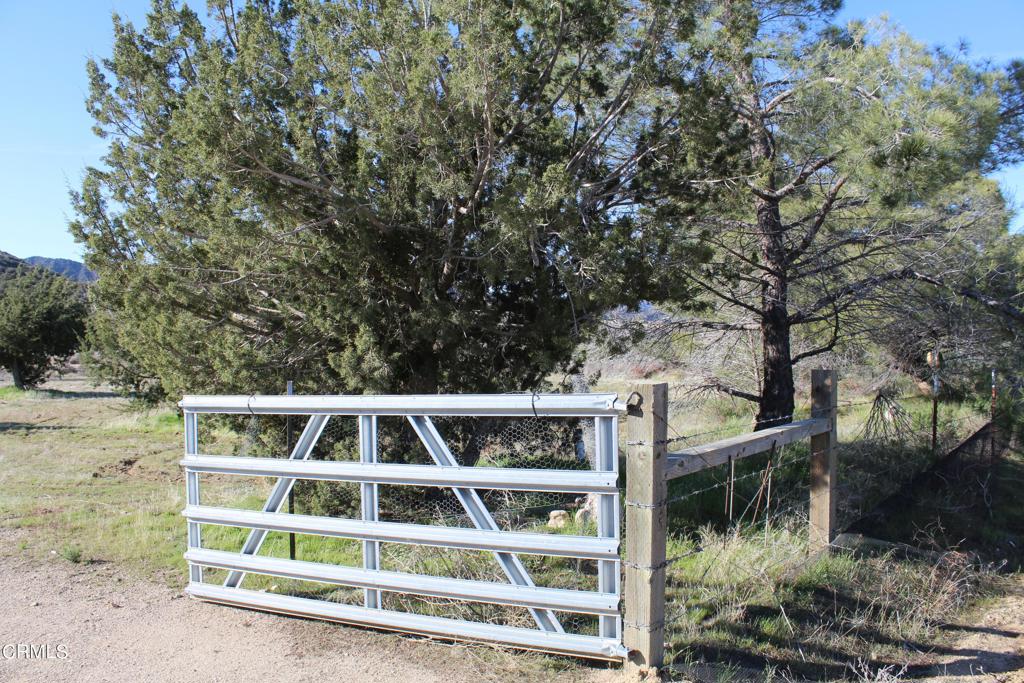 MLS #V1-33379 image #3