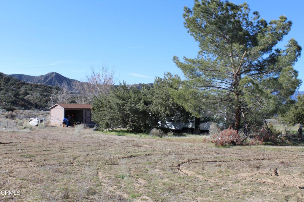 MLS #V1-33379 image #36