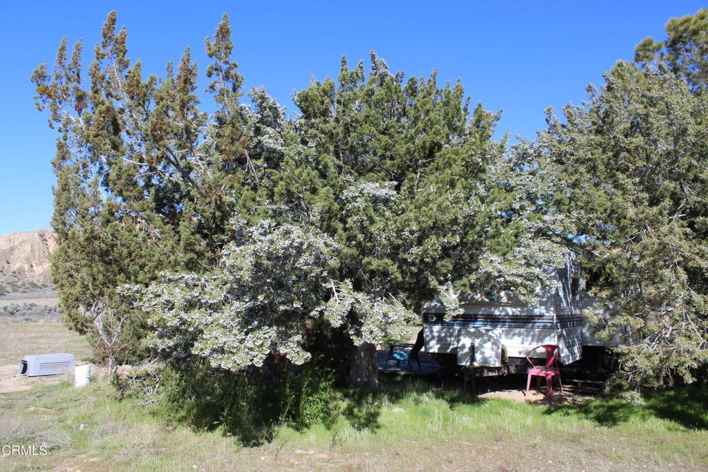 MLS #V1-33379 image #37