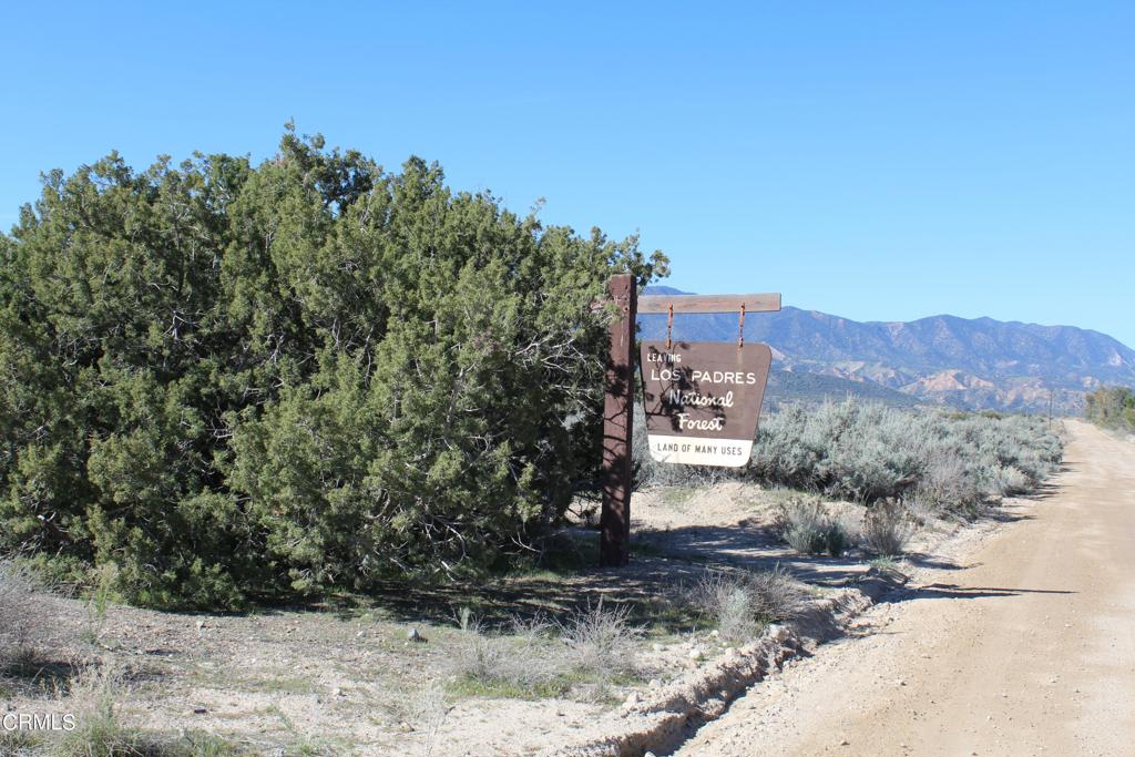 MLS #V1-33379 image #40