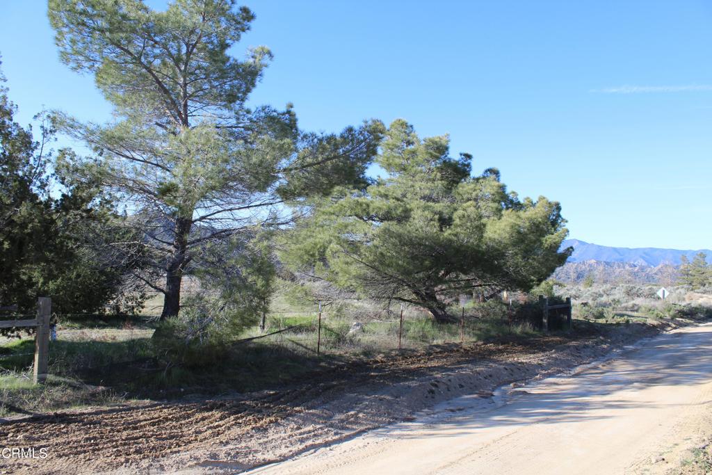 MLS #V1-33379 image #5