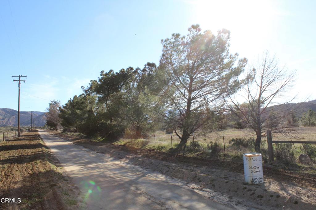 MLS #V1-33379 image #7