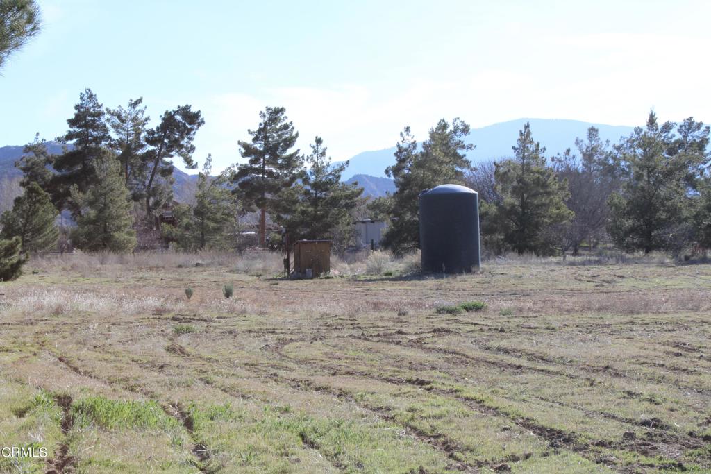 MLS #V1-33379 image #9