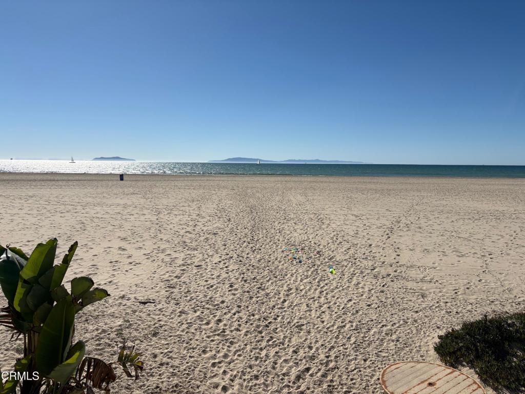 MLS #V1-33387 image #33