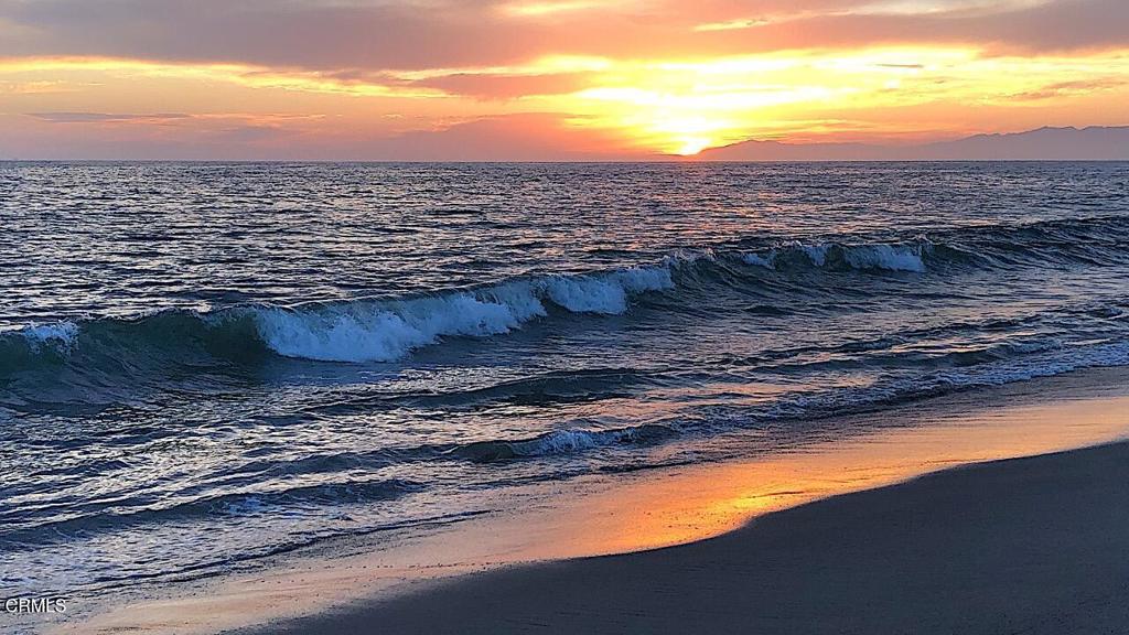 MLS #V1-33403 image #54