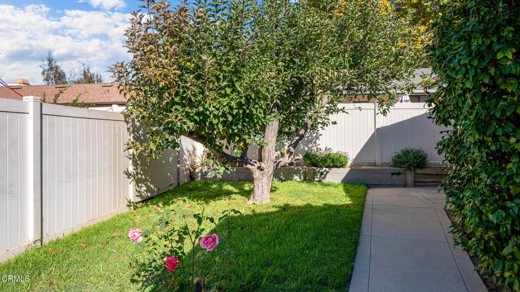 MLS #V1-33416 image #12